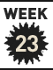 wk23