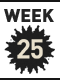 25