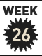 26