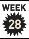 28