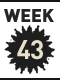 43