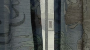 dinosaur_curtains