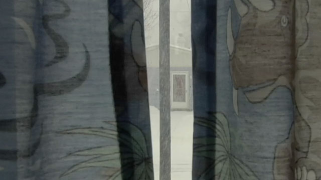 dinosaur_curtains