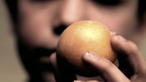 apricot