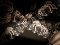 cobwebs short film image