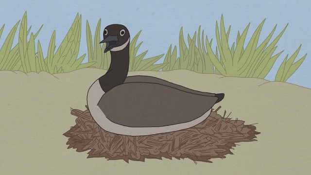 Still from Bernardo Britto's new short film, Hudson Geese.