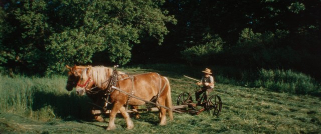 The Seeker - a short film by Lance Edmands