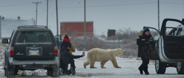 Nuisance Bear Documentary