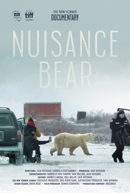 Nuisance Bear Short Film poster
