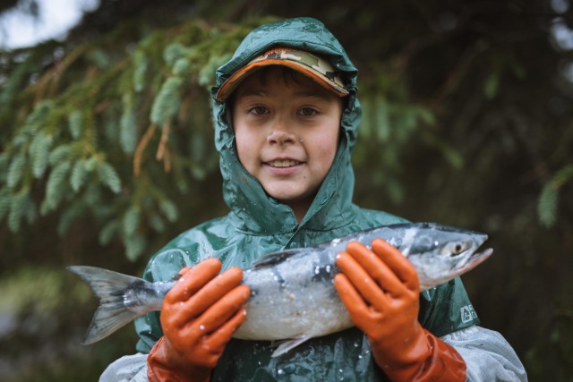 School of Fish Documentary