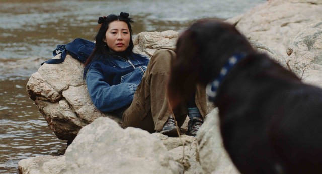 Good Boy Banjo Short Film