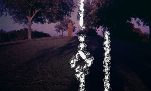 We-Are-Not-Alone-Adebukola-Bodunrin